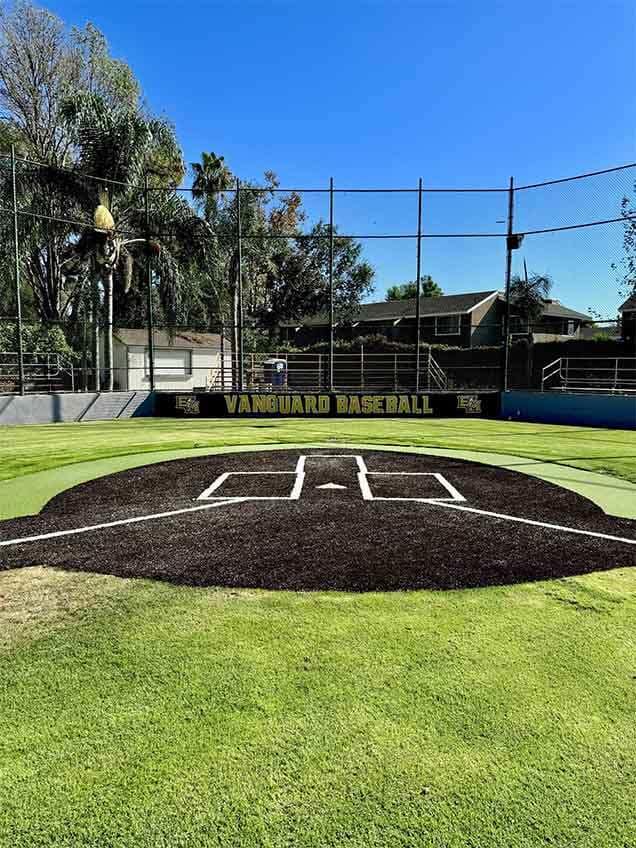 Sports field turf
