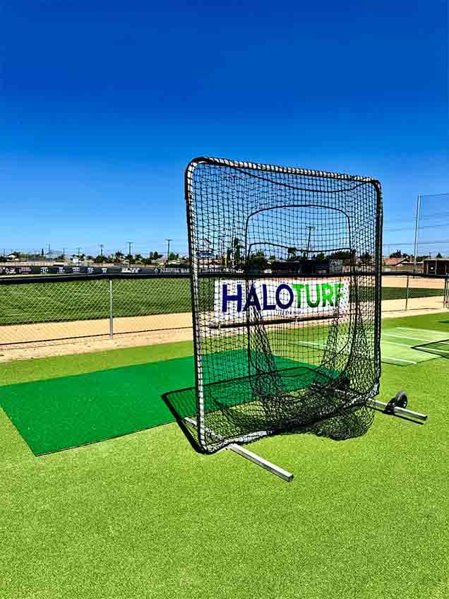 Baseball field turf