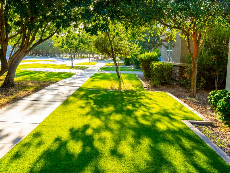 A finished artificial grass front yard between the sidewalk and the house. It is edged with pavers and shaded by old trees.