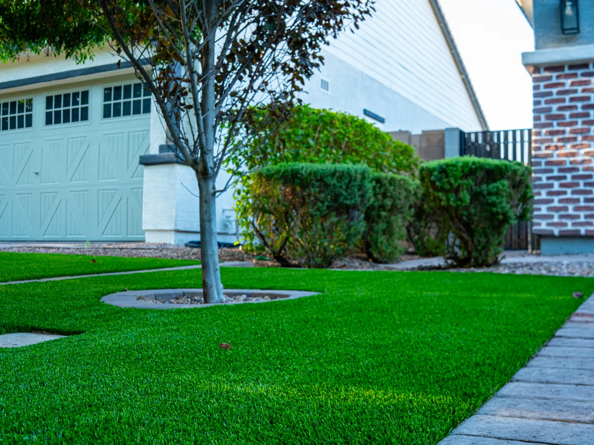 A finished turf front yard wraps around a young tree in a mulch ring. A paver walkway runs to the garage.