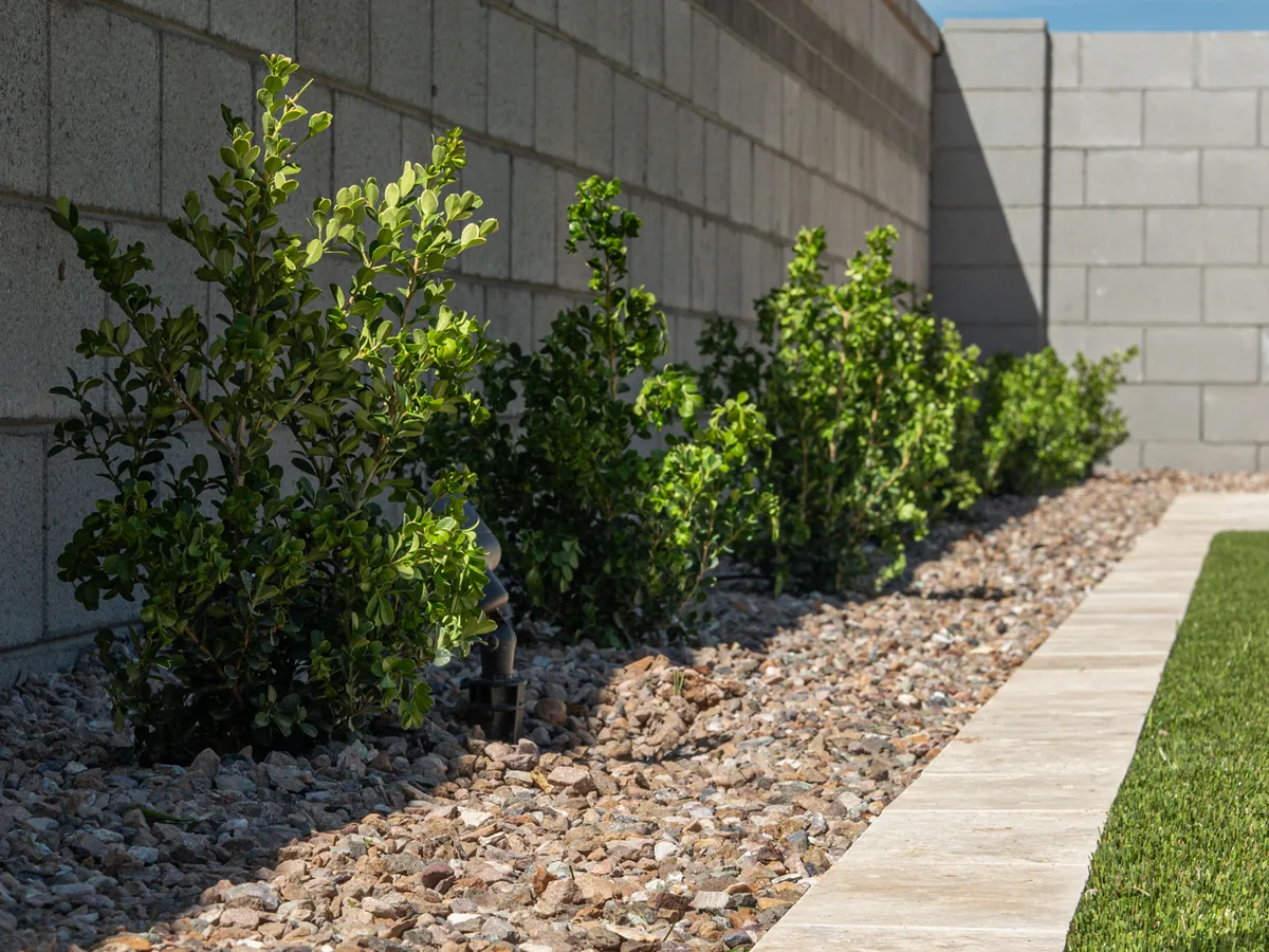 A narrow side yard with turf along one edge. A stone border strip and decorative rock run beside it. Trimmed shrubs stand against a block wall.