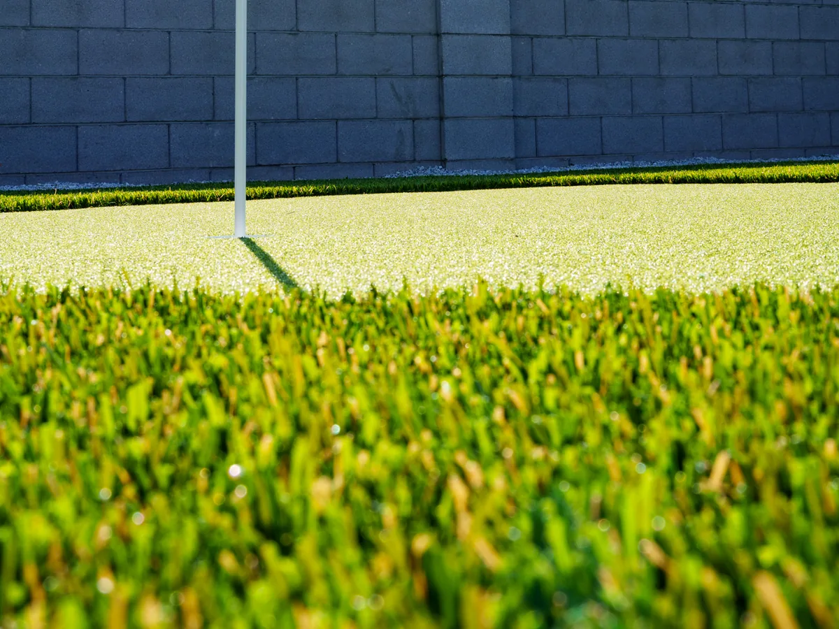 A close view at ground level where long lawn turf meets the short putting surface. A flagstick stands in the green.