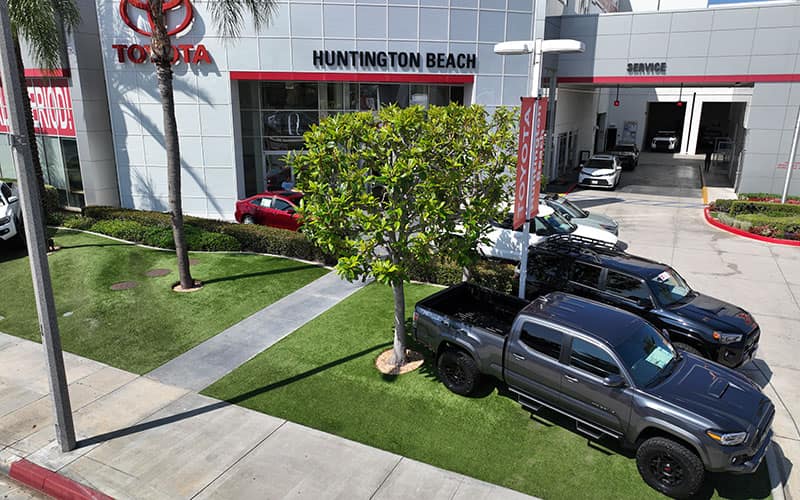 Commercial turf installation by HaloTurf, photo 1
