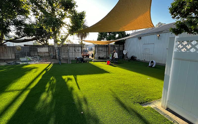 Pet-friendly artificial turf back yard installed by HaloTurf