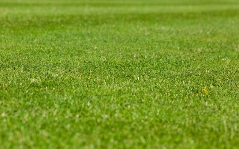 Turf cleaning installation by HaloTurf, photo 1